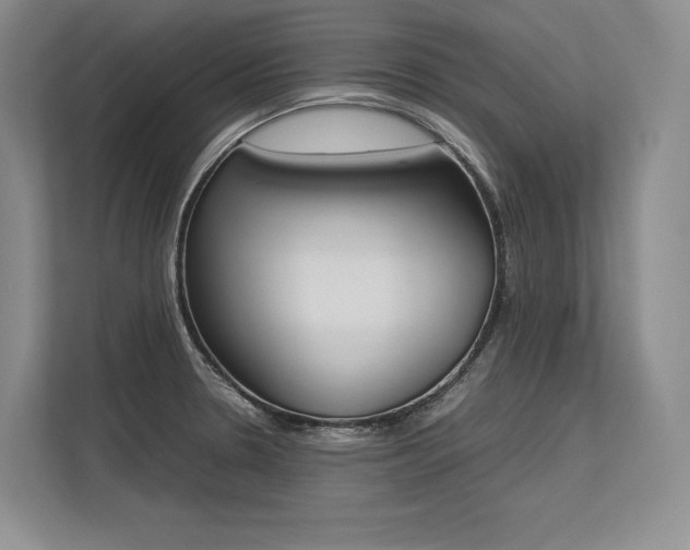 X0000113351330200909221136