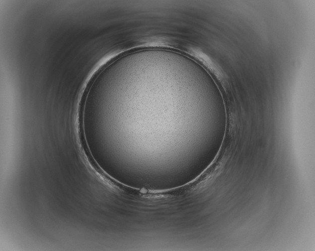 X0000113351331200909221136