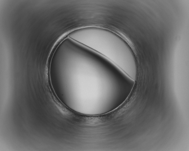 X0000113351332200909221136