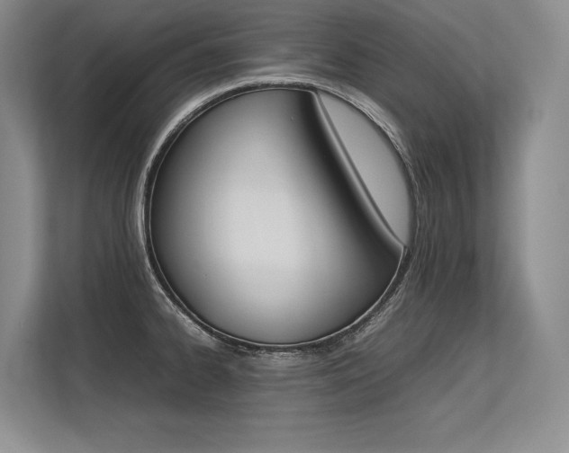 X0000113351334200909221136