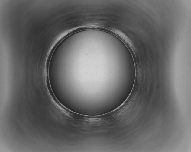X0000113351335200909221136