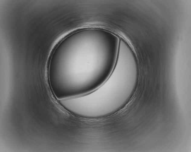 X0000113351336200909221136