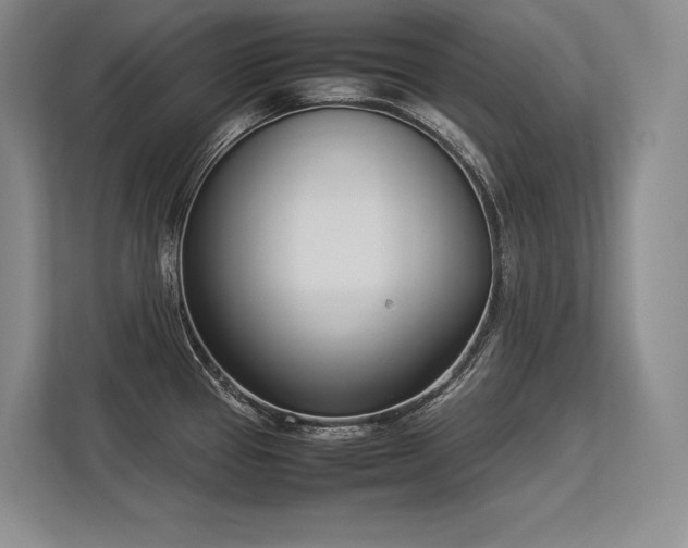 X0000113351337200909221136