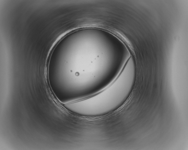 X0000113351340200909221136