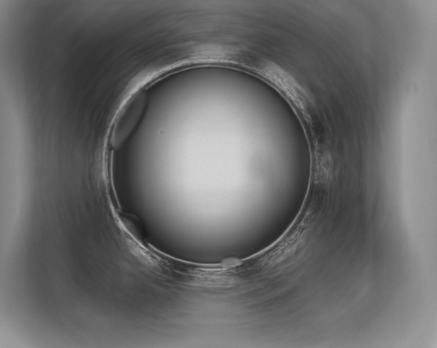 X0000113351342200909221136