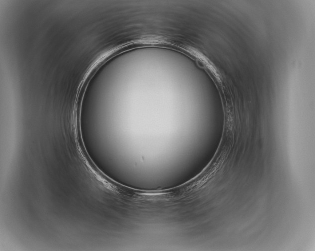 X0000113351343200909221136