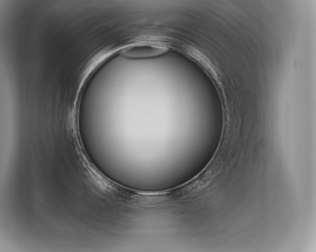 X0000113351344200909221136