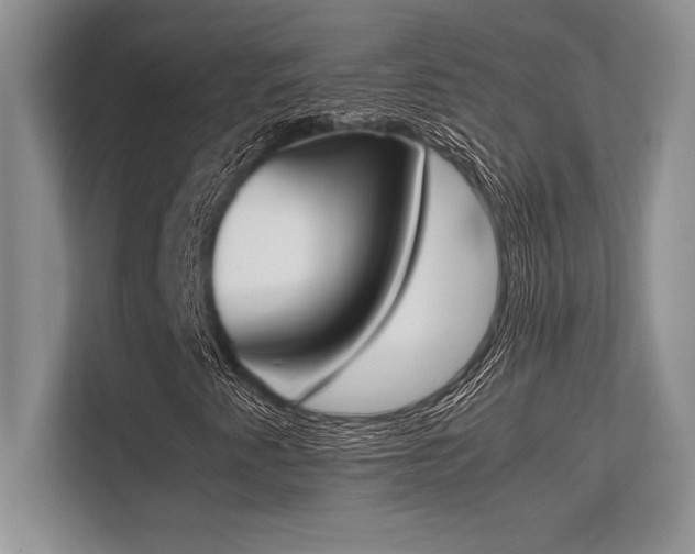 X0000113351345200909221135