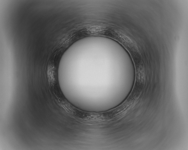 X0000113351346200909221135