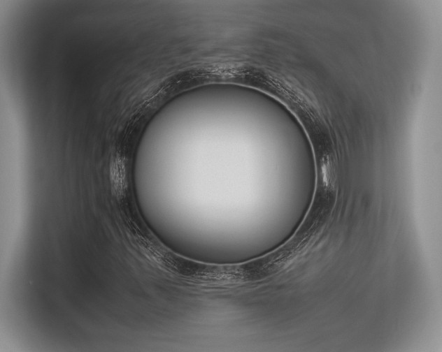 X0000113351347200909221135