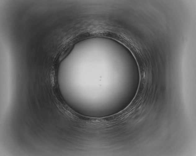 X0000113351348200909221135