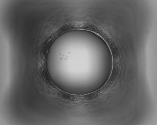 X0000113351349200909221135