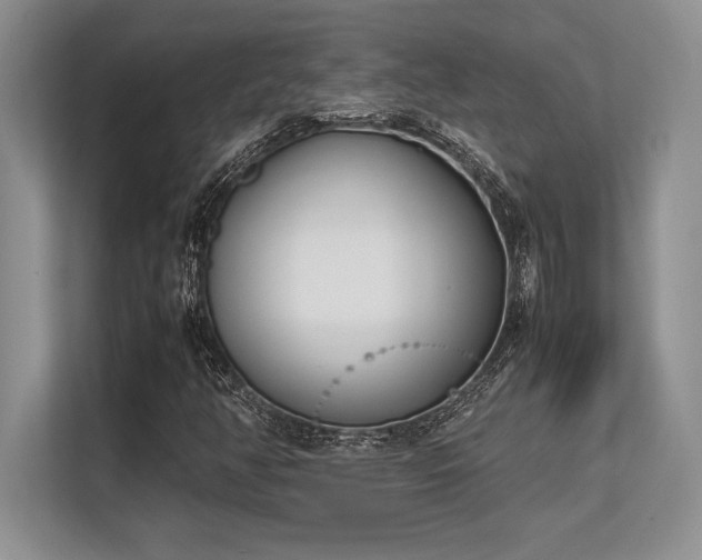 X0000113351350200909221135