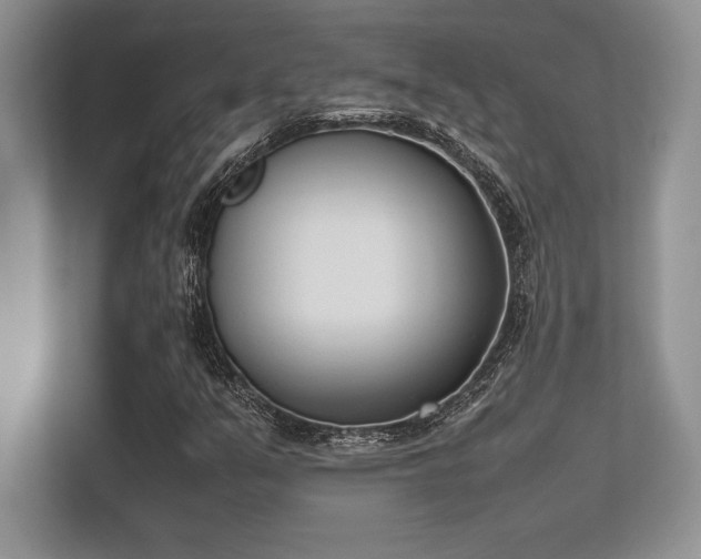 X0000113351351200909221135