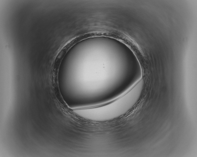 X0000113351352200909221135