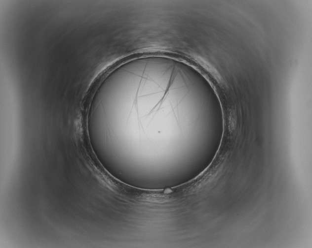 X0000113351356200909221135