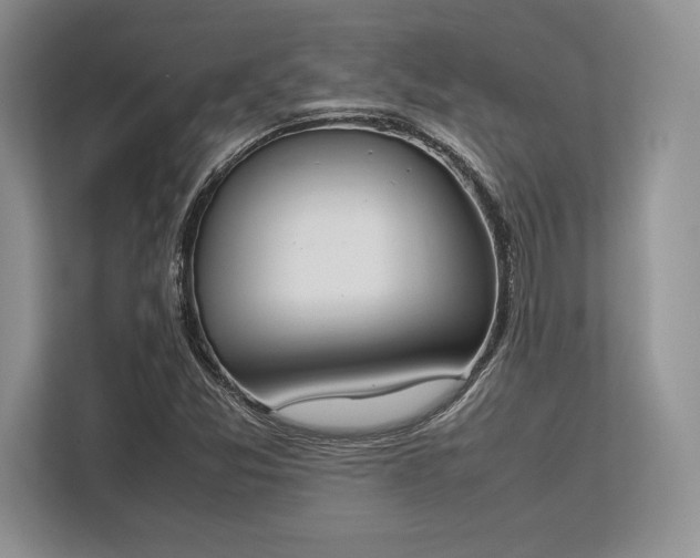 X0000113351357200909221135