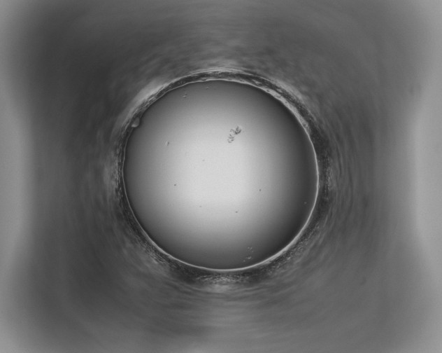 X0000113351359200909221135