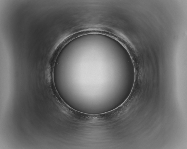 X0000113351360200909221135