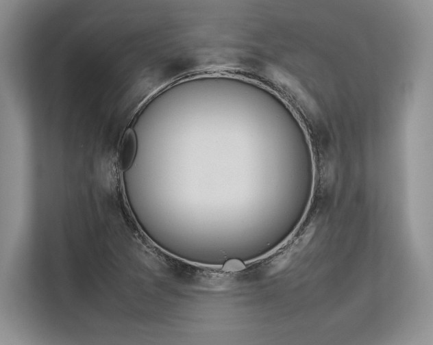 X0000113351361200909221135