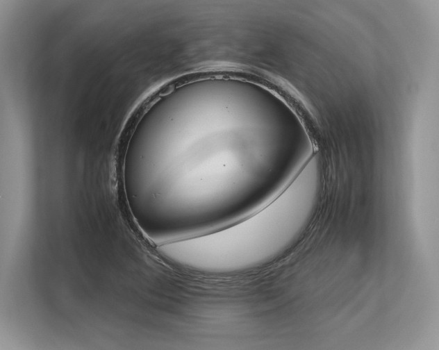 X0000113351364200909221135