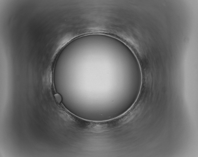 X0000113351365200909221135