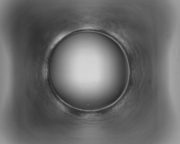 X0000113351367200909221135
