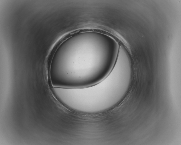 X0000113351368200909221135