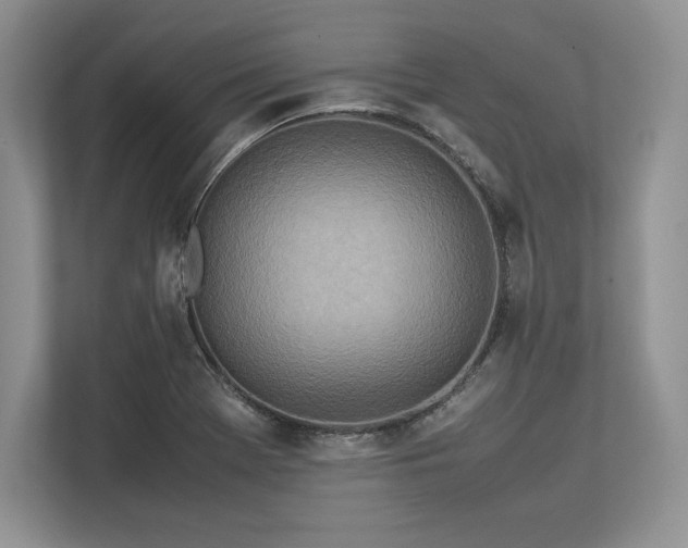 X0000113351369200909221135