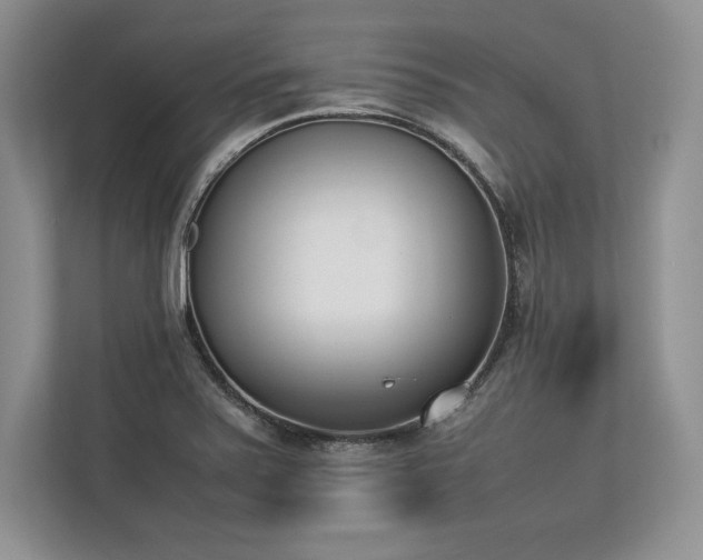 X0000113351371200909221135