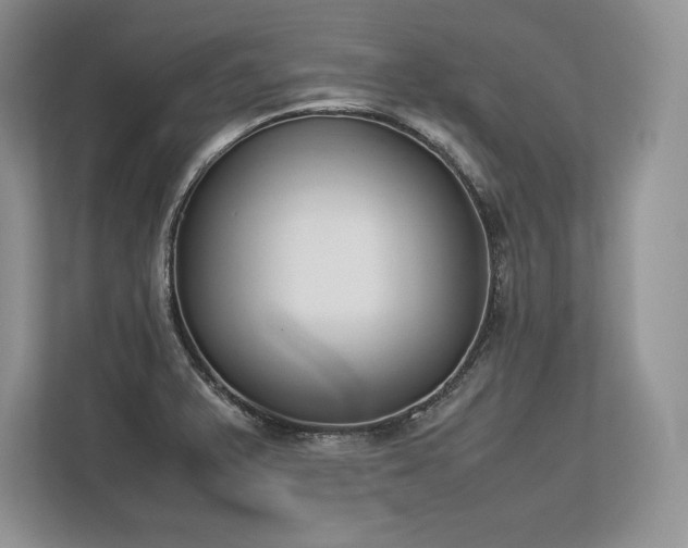 X0000113351375200909221135