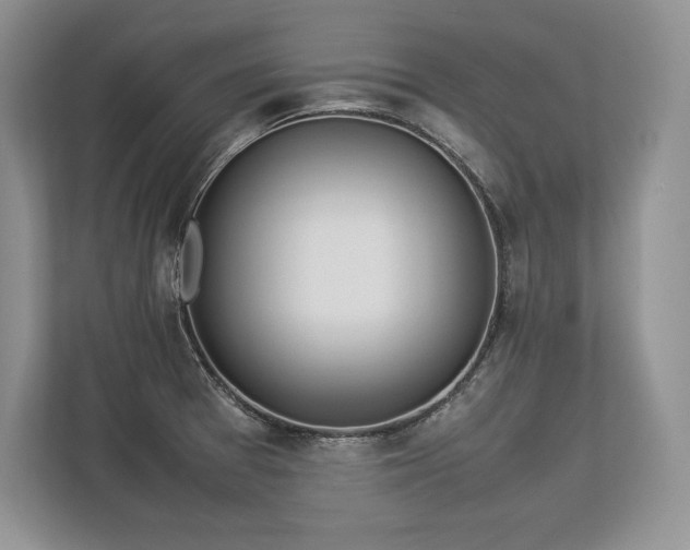 X0000113351377200909221135