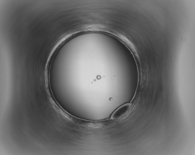 X0000113351384200909221135