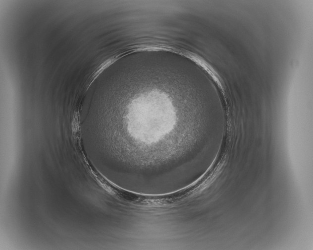 X0000113351385200909221135