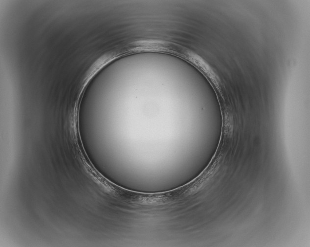 X0000113351386200909221135