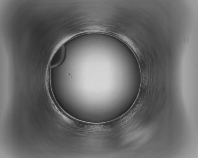 X0000113351387200909221135