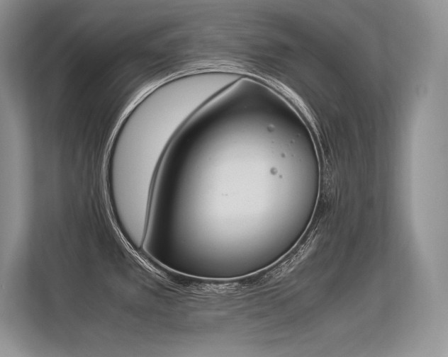 X0000113351389200909221135