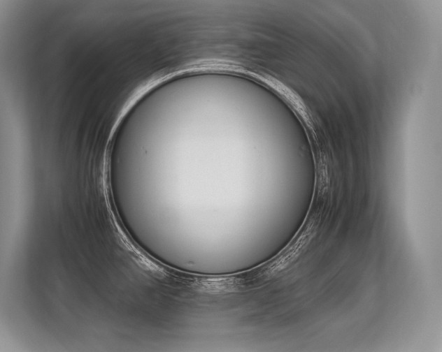 X0000113351390200909221135
