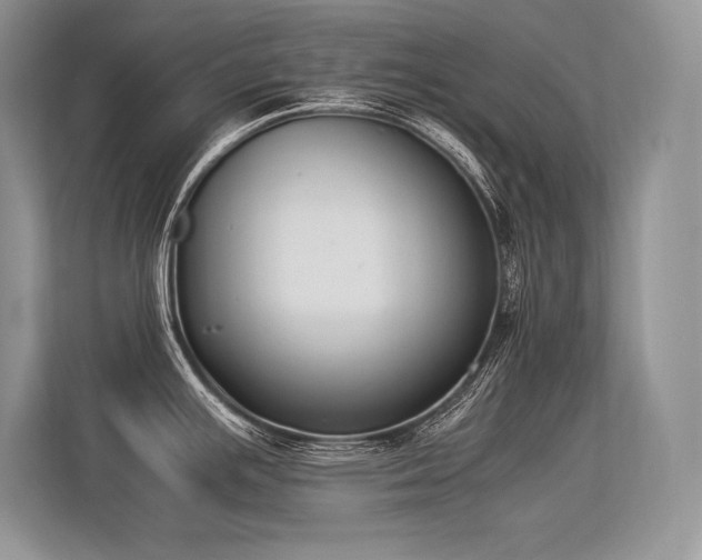 X0000113351391200909221135