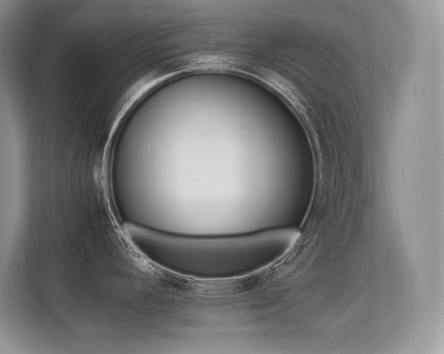 X0000113351392200909221135