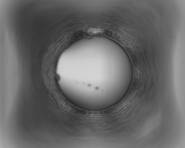 X0000113351393200909221134