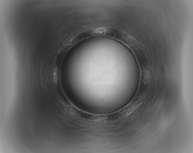 X0000113351394200909221134