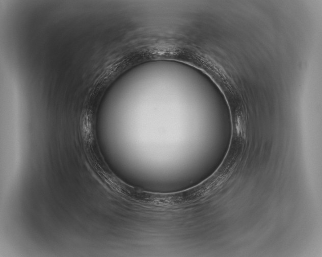 X0000113351396200909221134