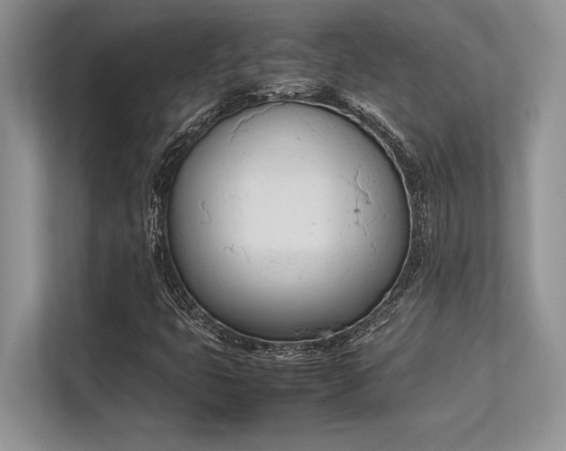 X0000113351399200909221134