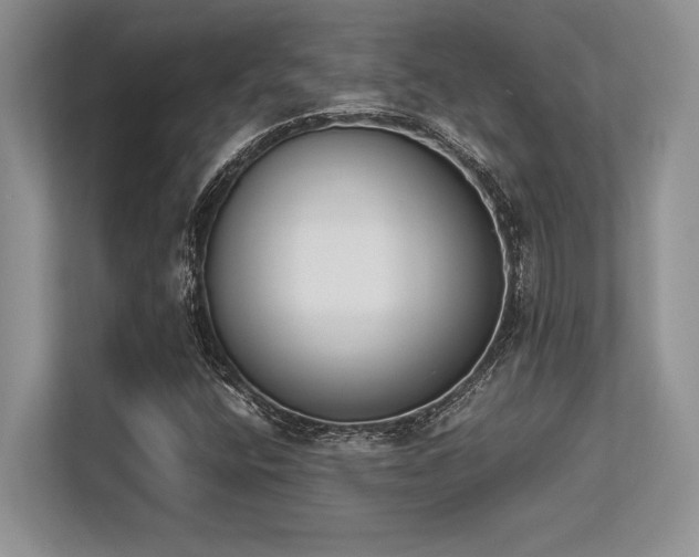 X0000113351400200909221134