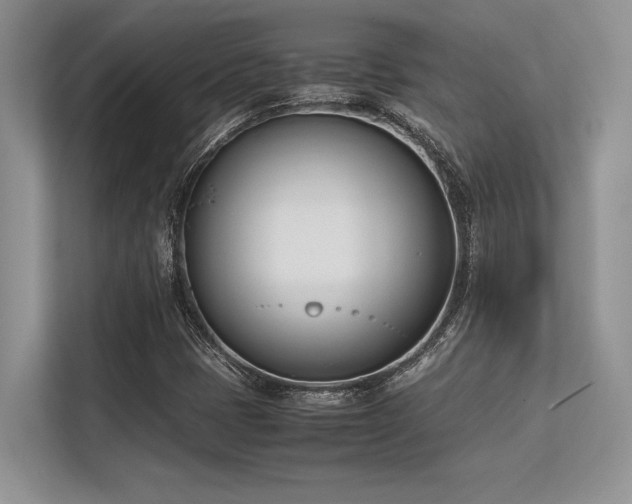 X0000113351401200909221134