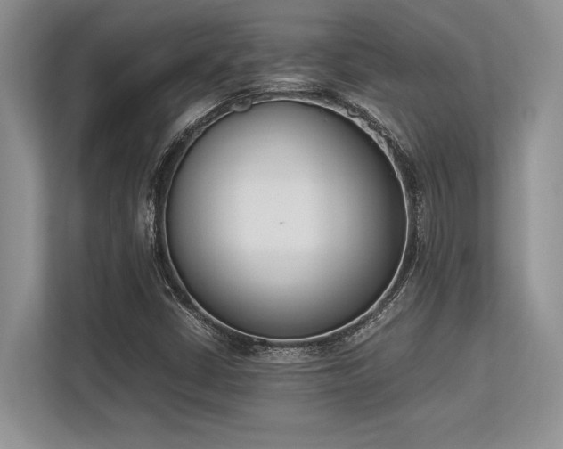 X0000113351402200909221134