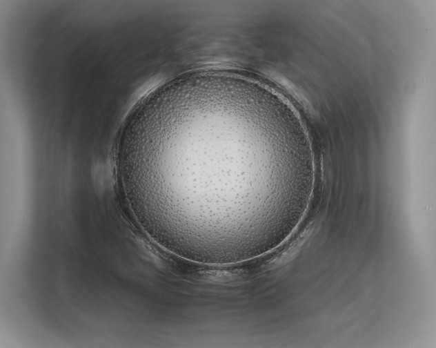 X0000113351405200909221134