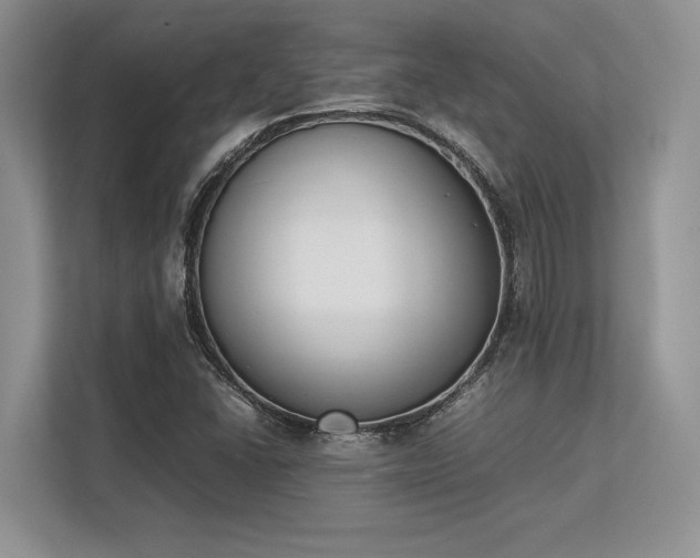 X0000113351406200909221134