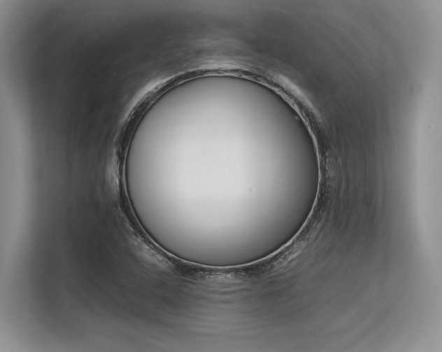 X0000113351408200909221134